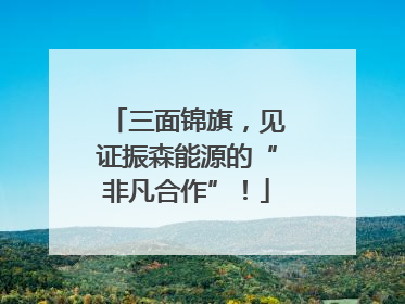 三面锦旗，见证振森能源的“非凡合作”！